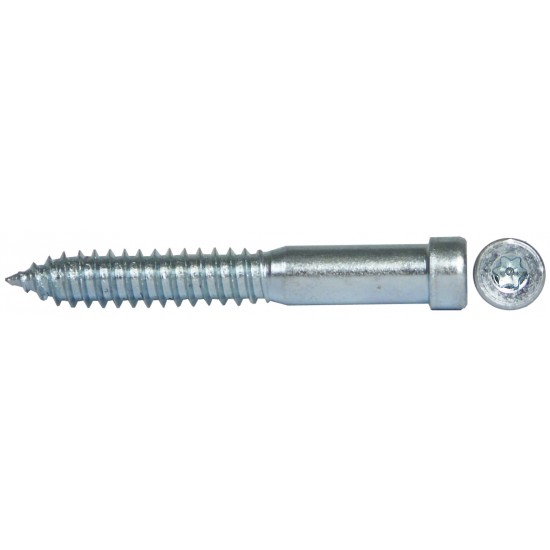 Träskruv tx30 8x64