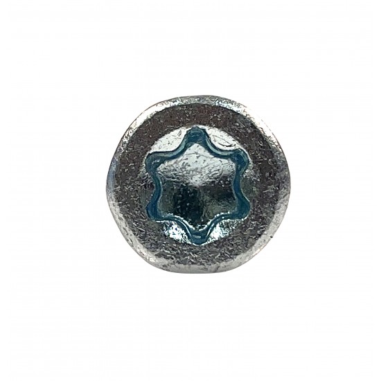 Träskruv tx30 6x50