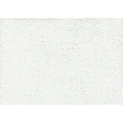 Innertak tak-ess 02tf forestia Vit strukt 12x620x1220