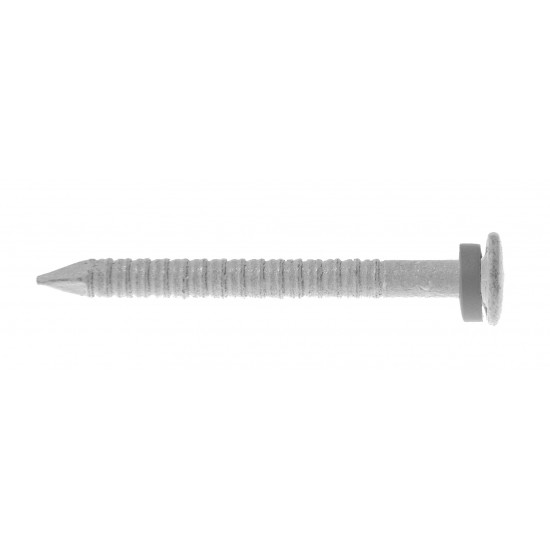 Bleckspik elförzinkad bricka Lågkull huv vit 2,5x30mm