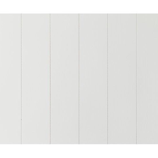Panel slätspont putsad målad Vit s0500n 8% 15x118x4200