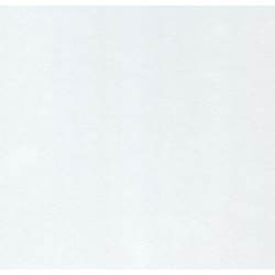 Laminatbänkskiva Vit 28x610x3000