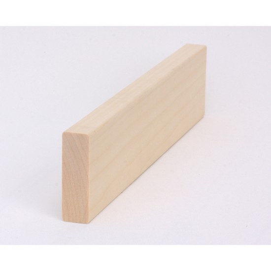 Bastulav asp 21x65mm