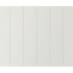 Panel slätspont putsad målad Vit s0502-y 8% 15x118x3600